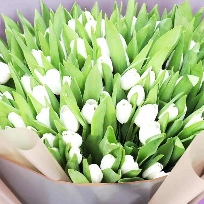 Winter 101 White Tulips Bouquet