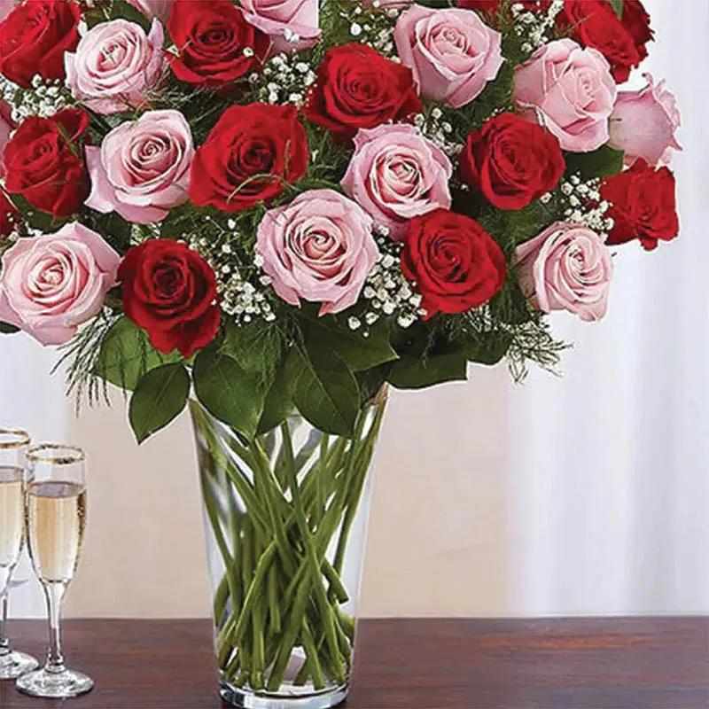 50 Elegant Red and Pink Roses In Vase