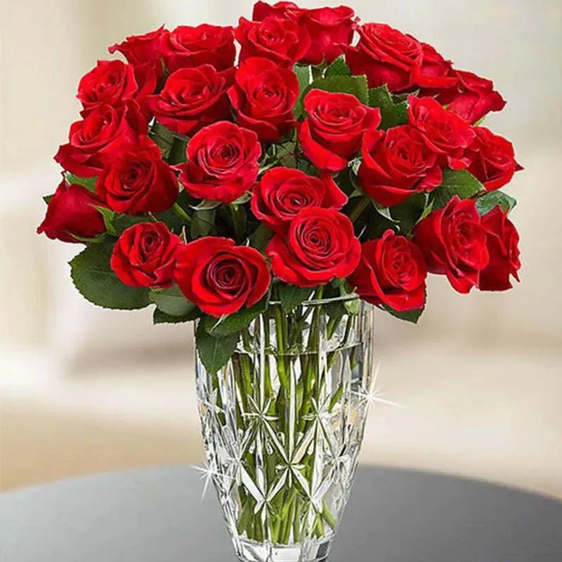 Beauty Of Red Roses