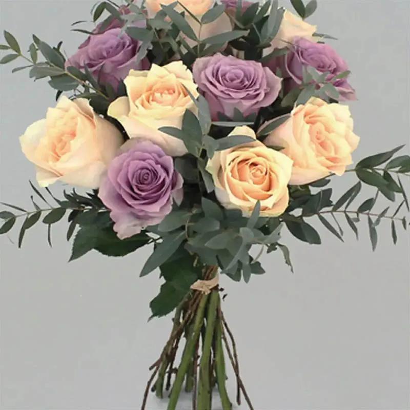 Charm of Peach and Purple Roses