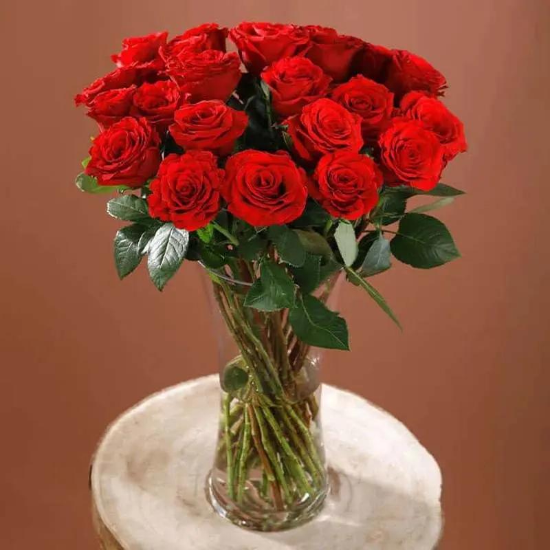 20 Red Roses in a Glass Vase