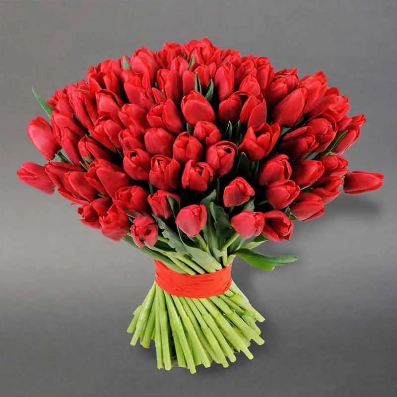 Love 101 Red Tulips