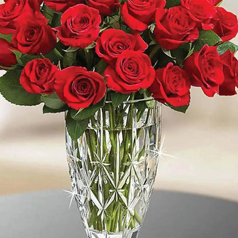 Beauty Of Red Roses