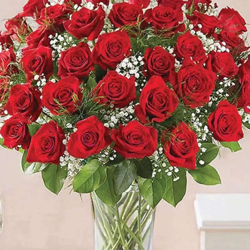 Elegant 50 Red Roses In Vase