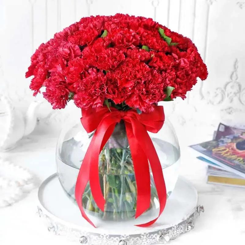 Red Carnation in Fish Bowl