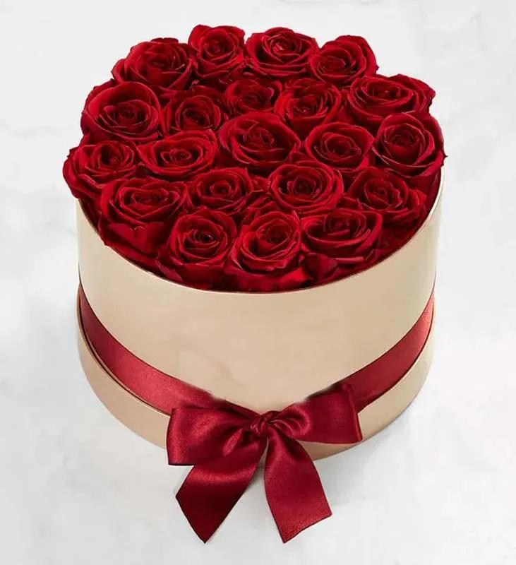 Red Roses in White Round Box